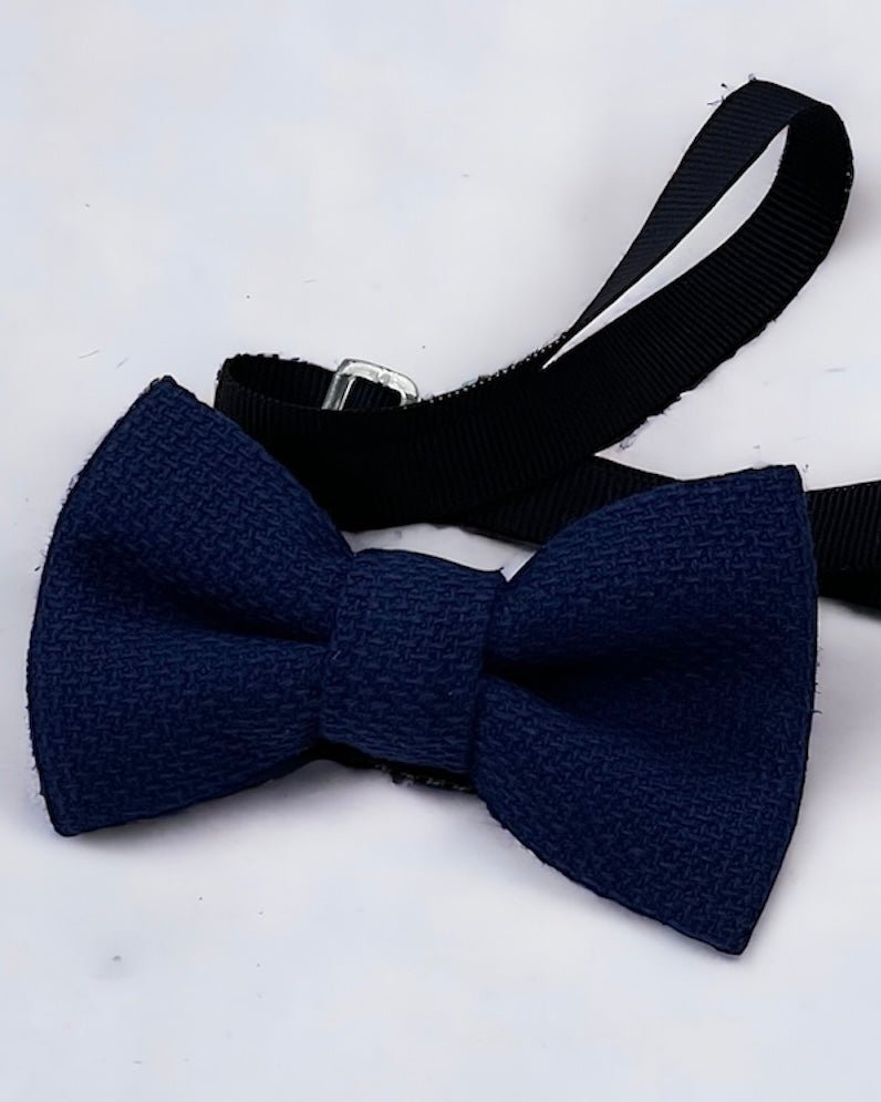 BIKKEMBERGS - Papillon blu regolabile