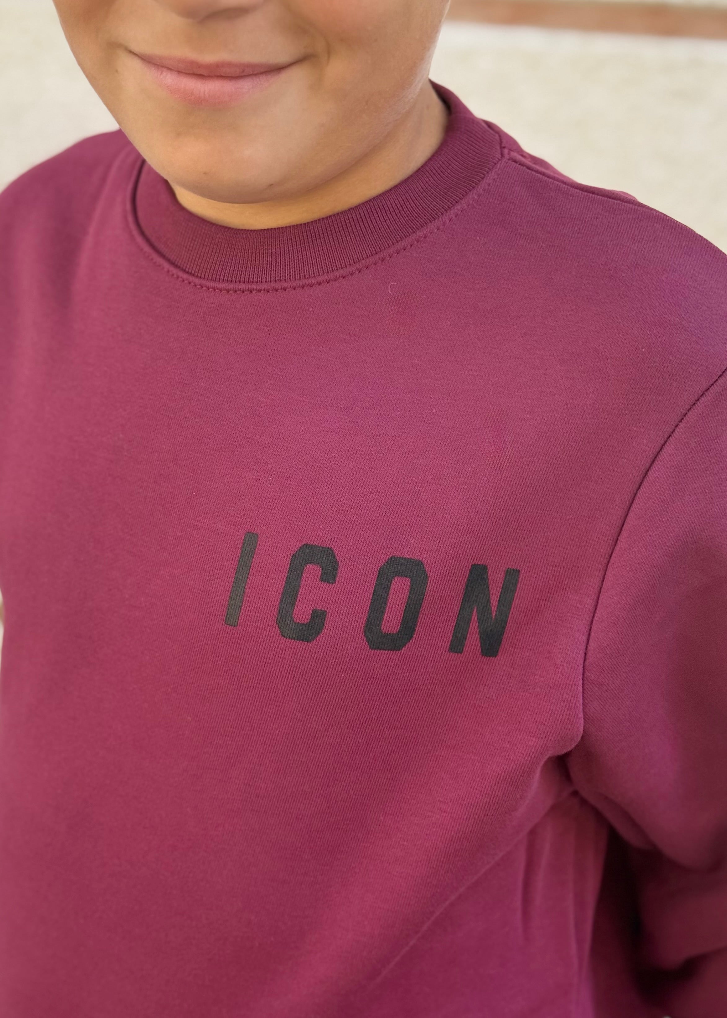 ICON - Felpa girocollo con logo bambino